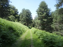 Txamantxoiako hegitik