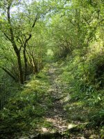 Galtzada zaharra, Arantza