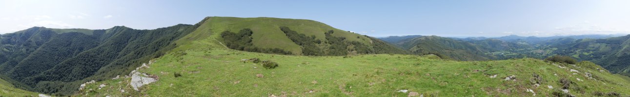 Negusoro gaineko panoramika