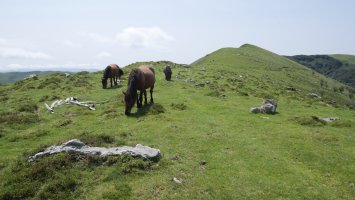 Komizko Gaina, Iparraldeko bizkarretik