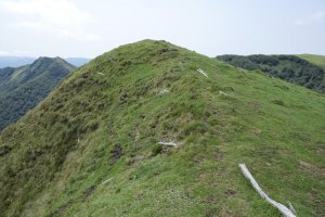 Komizko Gaina tontorra