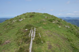 Komizko Gaina tontorra