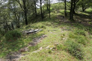 Ibintzako harrespilak