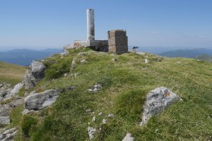 246 mugarria Otsogorrigaina tontorrean