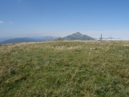 Otsogorritxipia tumulua