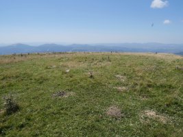 Otsogorritxipia tumulua