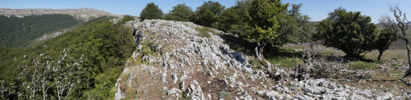 Pagamotxeta gailurra mendebaldetik