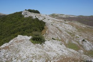 Pagamotxeta mendebaldetik