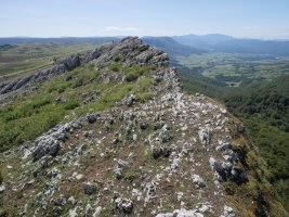 Eskalaborroko gandorra ekialdetik