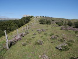 Aitzorrotz mendebaldetik