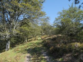 Ollargarate aldeko pasarte bat