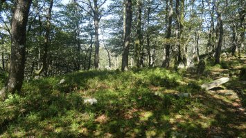 Baraxar Pagoxar harrespila