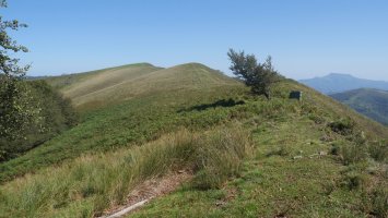 Izu, hegoaldeko bizkarretik