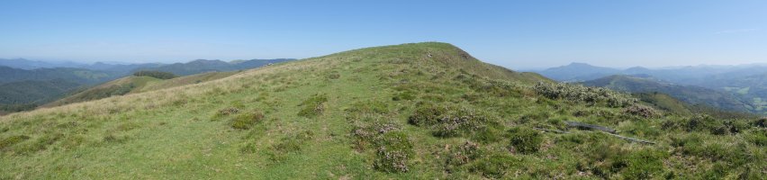 Izu hegoaldeko bizkarretik