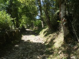 Galtzada zaharra Aierdegi aldean