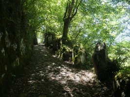 Azken aldapa, Arantzara igotzeko