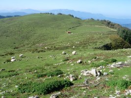 Muñoandi aldeko larreak Man