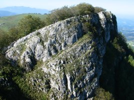 Tontorraren inguruko gandorra Etik