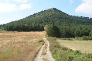 Lendiz, iparraldetik ikusita