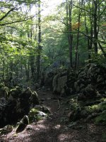 GR12 bidea basoan barrena