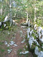 GR12 bidea basoan barrena