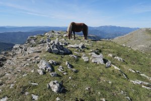 Urrusti izeneko muinoa, Gañeta eta Malkorri artean