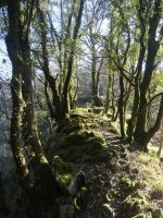 Artitzako Malkorra: pasarte polita HEko bizkarrean