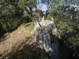 Artitzako Malkorra tontorra