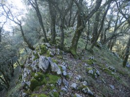 Artitzako Malkorra, iparraldeko bizkarreko pasarte bat