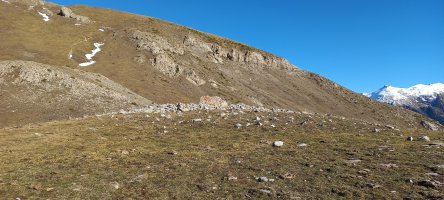 Añaza trikuharria (2023)