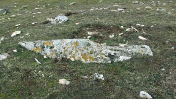 Pinar de Urbasa Sur zutarria, Urbasa