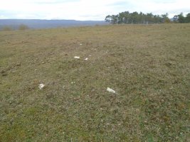 alto de errekasanta 4