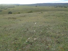 alto de errekasanta 5