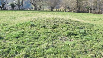 Arretxeko Borda 1 tumulua, Gartzain-Baztan