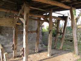 Olazarrea perratokia, Etxalar