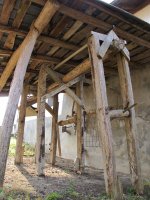 Olazarrea perratokia, Etxalar