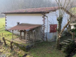 Olazarrea perratokia, Etxalar