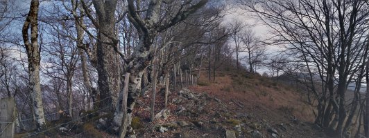 Bertizko txarrantxaren parean igoz