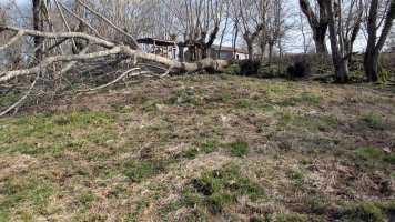 Indarteko Borda 2 etxola hondoa, Gartzain-Baztan