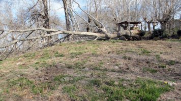 Indarteko Borda 2 etxola hondoa, Gartzain-Baztan