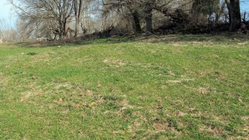 Indarteko Borda 4 etxola hondoa, Gartzain-Baztan