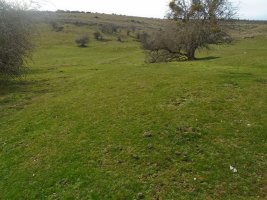 ingiriko portillua 3