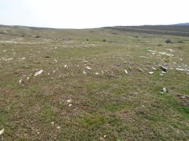 carabineros eraztun tumulua