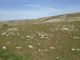 carabineros eraztun tumulua