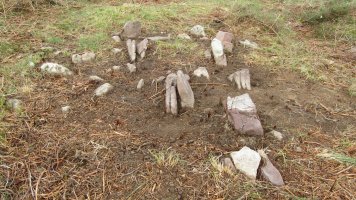 Okalarre trikuharria, Etxalar