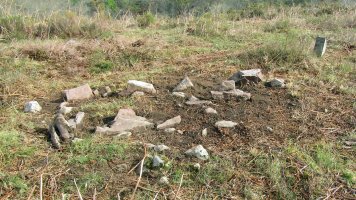 Okalarre trikuharria, Etxalar