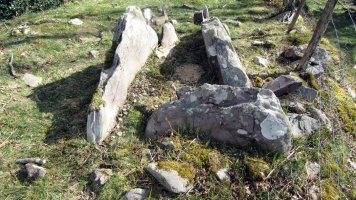 Zulubiko Erreka trikuharria, Etxalar