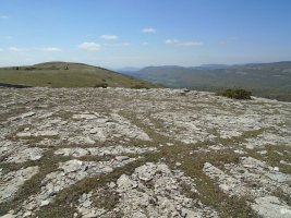 altos de zaborrate 2