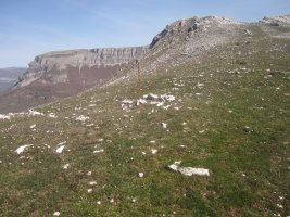 Túmulo Usaide (04-2023)