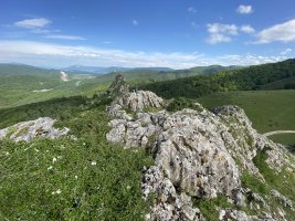 Tontorra. Atzean, Naparraitz